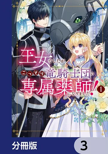 王女でしたがこっそり竜騎士団の専属薬師になりました! 表紙