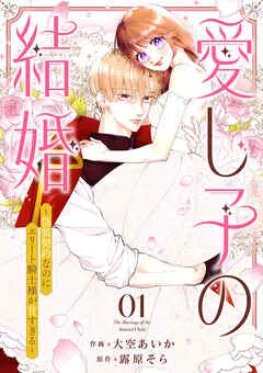 愛し子の結婚~偽装契約なのにエリート騎士様が甘すぎる~ 表紙