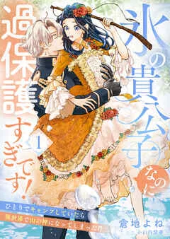 氷の貴公子なのに過保護すぎです!~ひとりでキャンプしていたら異世界で山の神になってしまった件~ 表紙