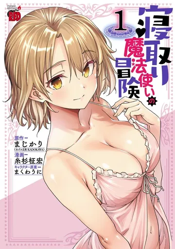 寝取り魔法使いの冒険 表紙