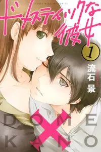 ドメスティックな彼女 表紙