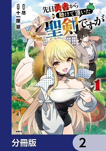 先日勇者から助けて頂いた聖剣ですが 表紙
