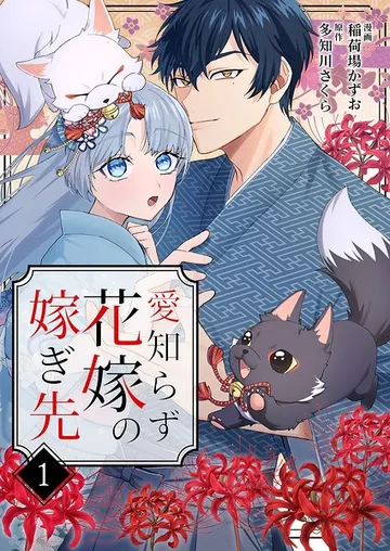 愛知らず花嫁の嫁ぎ先 表紙