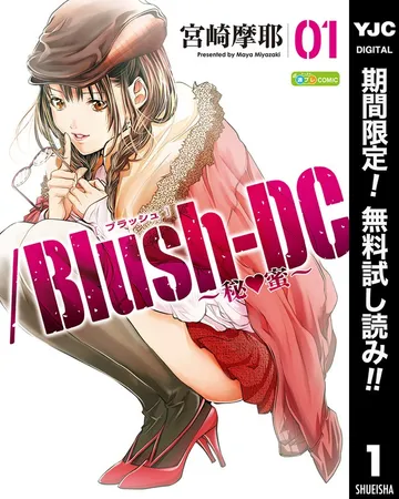 /Blush-DC ~秘・蜜~ 表紙