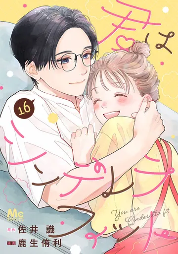 君はシンデレラフィット 表紙