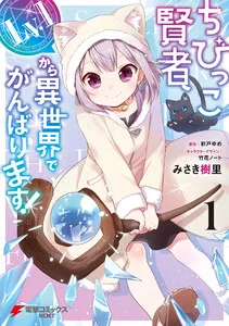 ちびっこ賢者、Lv.1から異世界でがんばります！ 表紙