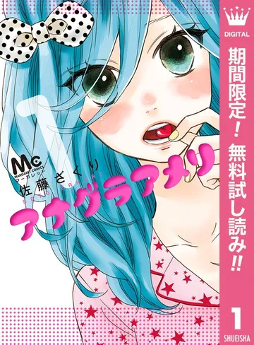 アナグラアメリ 表紙