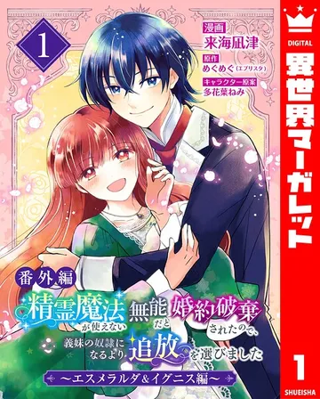 【番外編】精霊魔法が使えない無能だと婚約破棄されたので、義妹の奴隷になるより追放を選びました 表紙
