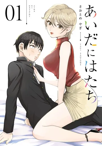 あいだにはたち 表紙